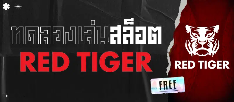 เว็บสล็อตใหม่ล่าสุด